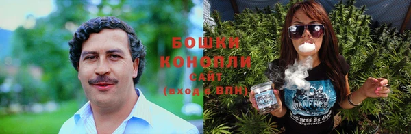 кокс Корсаков