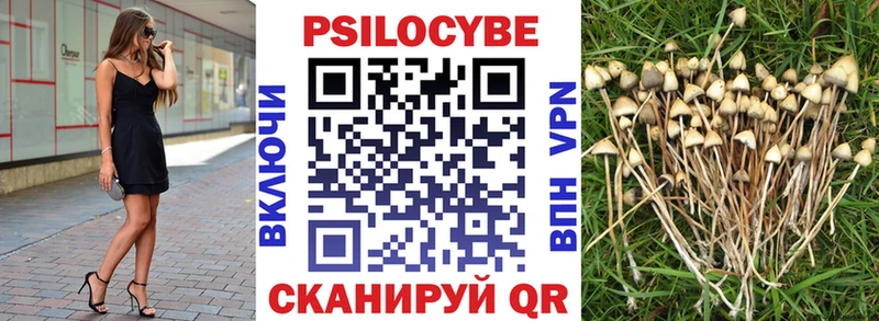 ОМГ ОМГ зеркало  Анива  Псилоцибиновые грибы MAGIC MUSHROOMS  даркнет сайт 